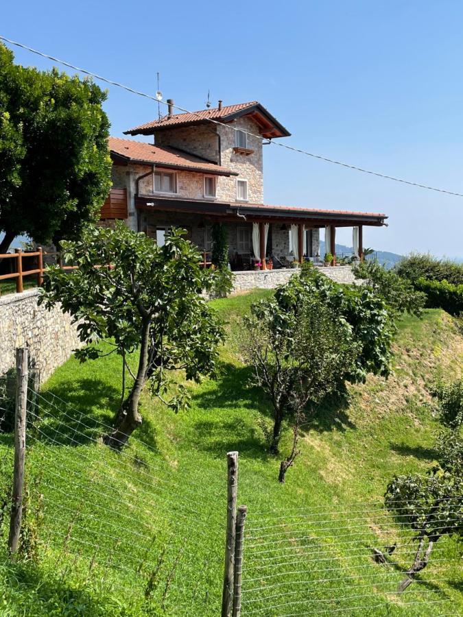 Villa dʼAlmèLe Lanterne住宿加早餐旅馆 外观 照片